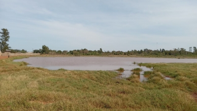 Maria Eloir pede ao Prefeito Rudi Paetzold a realização de um Projeto para a Revitalização da Lagoa Brasil próximo ao ho
